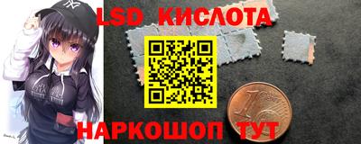 шишки Конаково