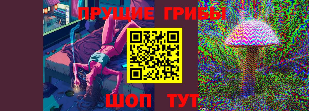 Дмитров  Псилоцибиновые грибы Magic Shrooms  Вход с VPN 