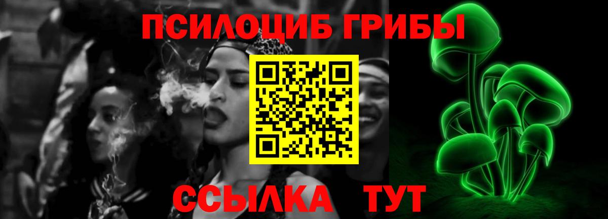 Галлюциногенные грибы Cubensis Дмитров